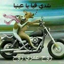 Ahmedagadir72's Chat & Dating Profile