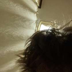 Bwhitt38's Chat & Dating Profile