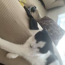 DADDY4ALL305's Chat & Dating Profile