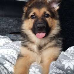 Hannah4000's Chat & Dating Profile