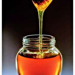 Honeystick's Chat & Dating Profile