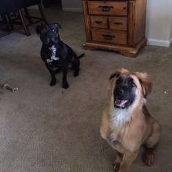 Markl26's Chat & Dating Profile