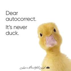 Terrie's Chat & Dating Profile